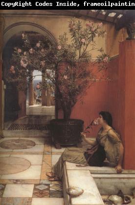 Alma-Tadema, Sir Lawrence An Oleander (mk23)